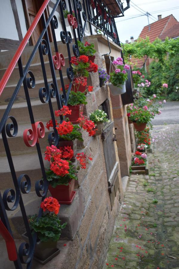 Chambres d'hôtes La Petite Vallée Rott Extérieur photo