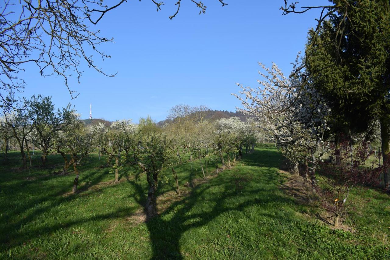 Chambres d'hôtes La Petite Vallée Rott Extérieur photo